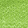 Shadesure-Zesty-Lime